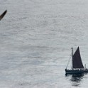 Shetland 548 copia